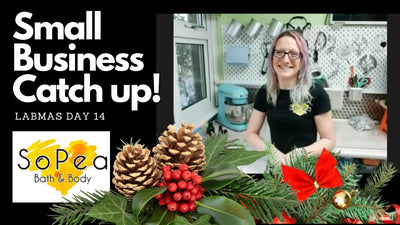 Small Business Catch Up - Tik Tok Chat - Labmas Day 14